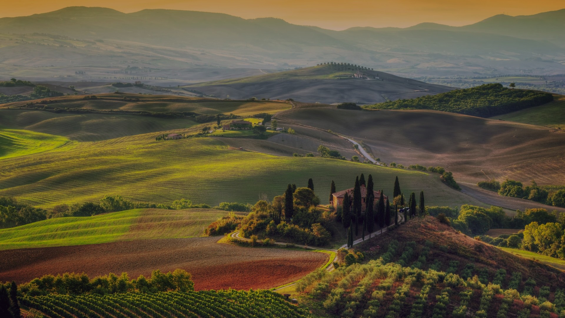 Wine Organic
